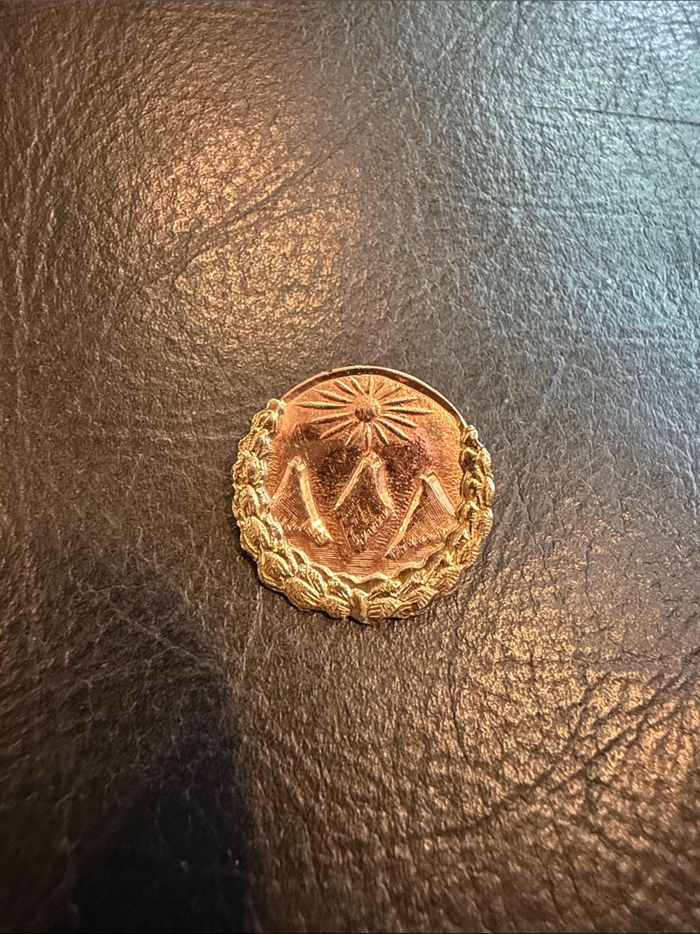 9K Yellow Gold Pin